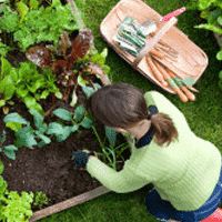 Всё для рассады